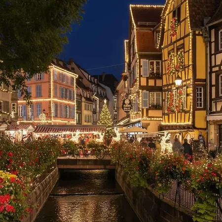 Lili & Derya - In Colmar, Mountain View, Private Parking * Colmar